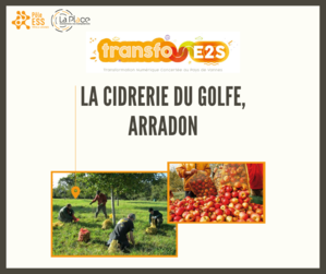 lacidreriedugolfe_transfo-3-.png